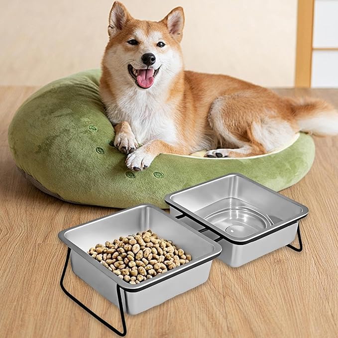 Elevated Pet Bowl Watering and Feeding with Stand Large Ergonomic Tilted Pet Snack Container Anti Vomiting for Small Dogs, Double