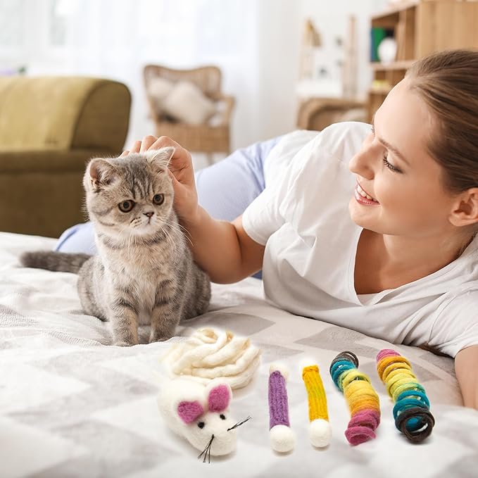 Glaciart One Indoor Catnip Cat Toy Pack - 5pc | Kitty Toys Include Wool Springs, Swabs & Mouse | for Activity, Exercise & Play | Filled w/Organic Catnip to Excite/Calm Pet | Great Gift Idea
