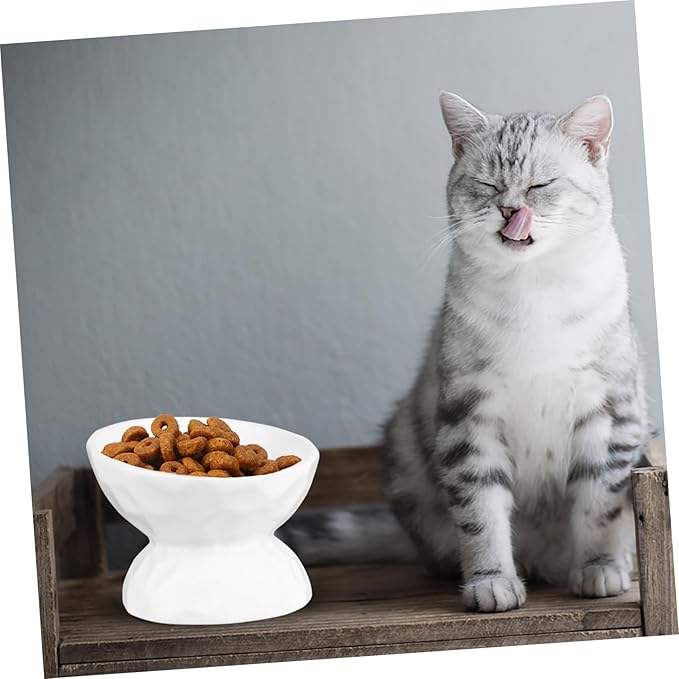 Alasum Elevated Cat Ceramic Feeding Bowl with Neck Protection, Small White Raised Pet Feeder for Kitten, Anti-Spill Design Suitable for Indoor Cat Feeding and Watering
