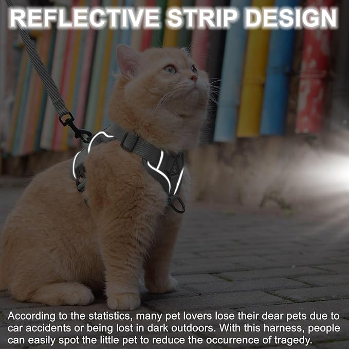 Vest Harness Leash Set for Small Dog Large Cat, Upgraded Escape Proof Adjustable Jacket with Lead for Puppy Fat Cat Outdoor Walking, Soft Breathable Mesh Coat with Reflective Strip XL Dark Grey