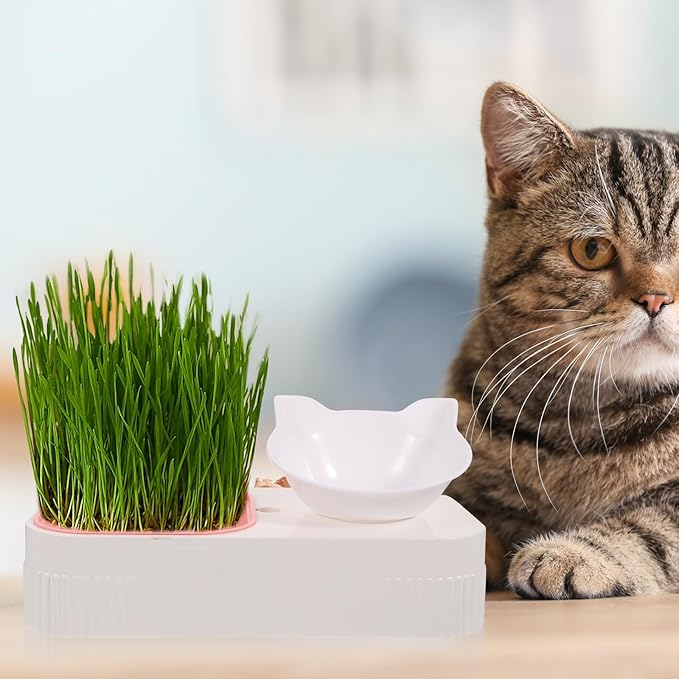 VANZACK Cat Grass Feeder Bowl with Water Container, Multi-Function Hydroponic Catnip Planting Box, Protective Pet Feeder for Indoor Cats, Pink Integrated Feeding and Watering Supply
