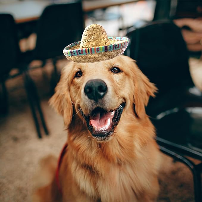 Cat Sombrero Hat Cat Hat Pet Sombrero Hat Cinco De Mayo Mexican Pet Straw Cap with Adjustable Chin Strap(Green)