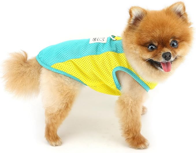 PAIDEFUL Breathable Mesh T-Shirt for Small Dogs Summer Doggie Cool Vest Soft Lightweight Puppy Tee Shirts Sleeveless Pet Tank Top Sweatshirts Cozy Chihuahua Clothes Cat Apparel D-Ring,Green,M
