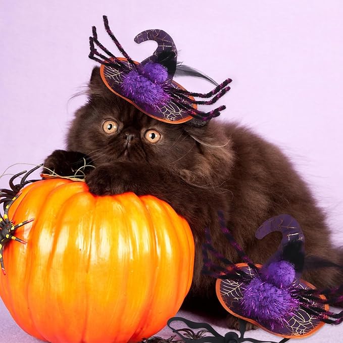 Halloween Adjustable Witch Pet Hat for Cats Dogs Purple Spider Pet Hat for Small and Medium Cats Dogs Halloween Funny Head Accessories