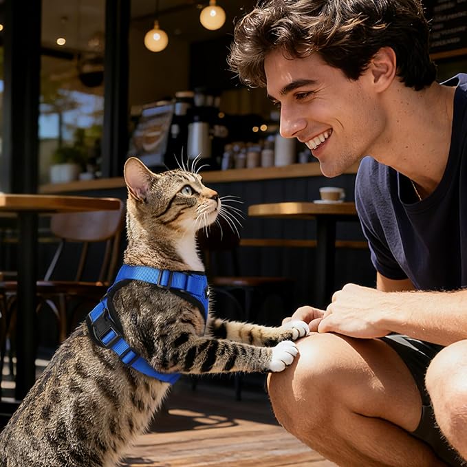 Dooradar Cat Harness and Leash Set, Escape Proof Safe Adjustable Kitten Vest Harnesses for Walking, Easy Control Soft Breathable Mesh Jacket with Reflective Strips for Cats, Blue, XXS