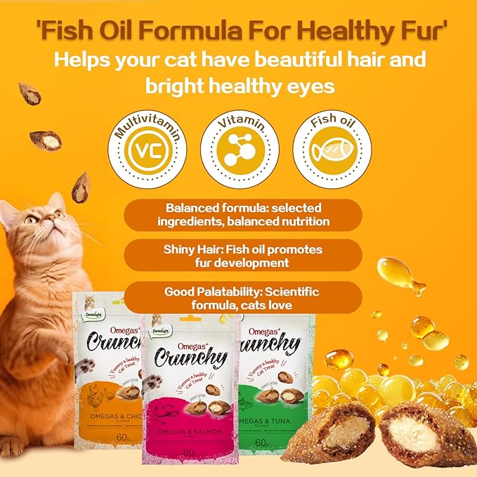 Faywell Omegas Crunchy Cat Chew Treat, Vitamins & Minerals Enriched, Kitty Snack 60g (60g X 3, Salmon Tuna Chicken)