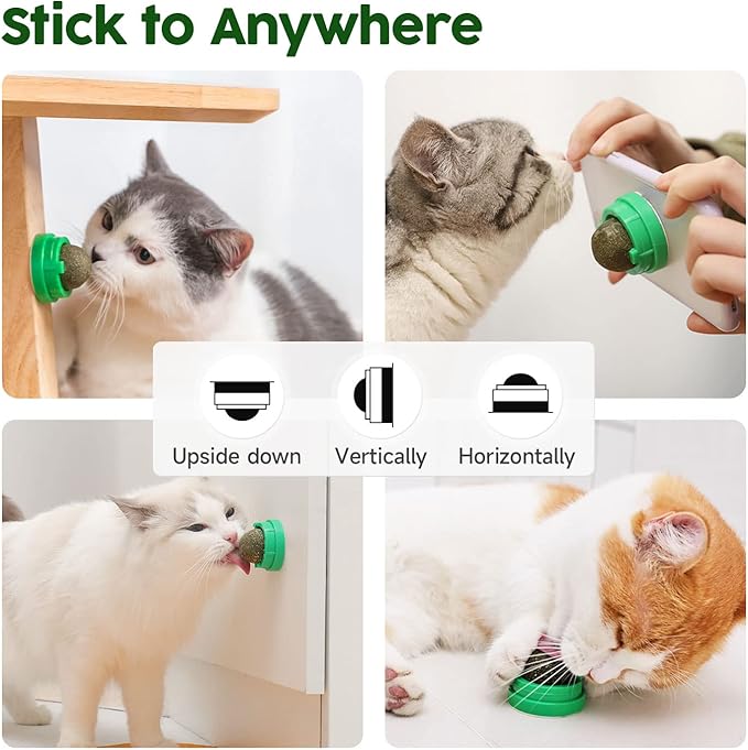 Potaroma Catnip Toys Balls 4 Pcs, Extra Cat Energy Ball, Edible Kitten Silvervine Toys for Cats Lick, Healthy Kitty Teeth Cleaning Dental Chew Toys, Cat Wall Treats (Green)
