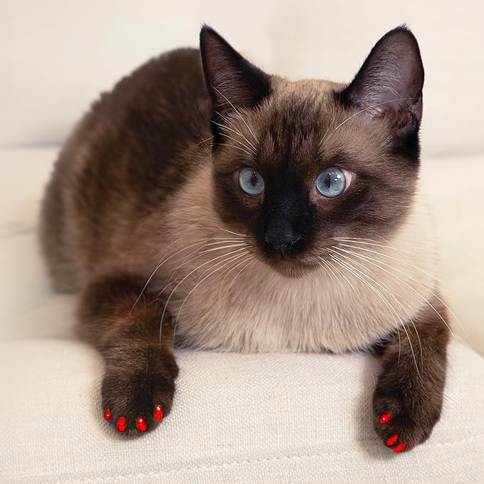 Soft Claws Safe Scratch-Free Solution for Cats - CLS (Cleat Lock System), Size: Large, Color: Halloween (Orange & Black)