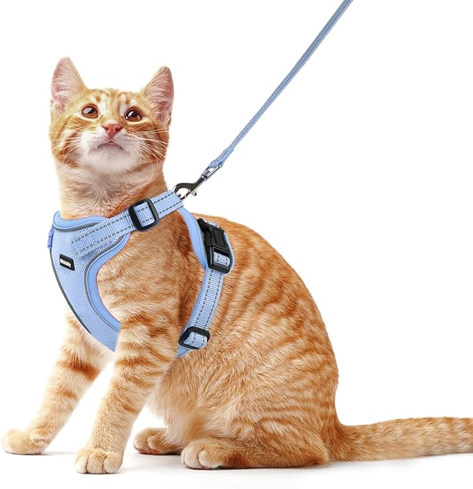 Rttochfy Cat Harness and Leash Set, Adjustable and Reflective Cat Vest, Escape Proof Kitten Harness, Easy to Put on with 3 Buckles for Cats Walking and Traveling (Blue, S)