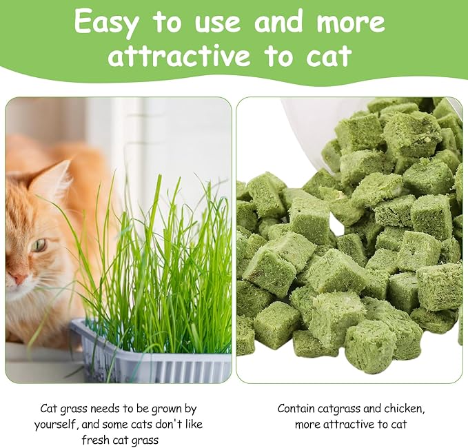 120g Cat Grass Treats for Indoor Cats, Freezed Dried Cat Grass Teething Stick Snacks for Cats, Edible Feline Chew Toys for Hairball Control and Oral Health