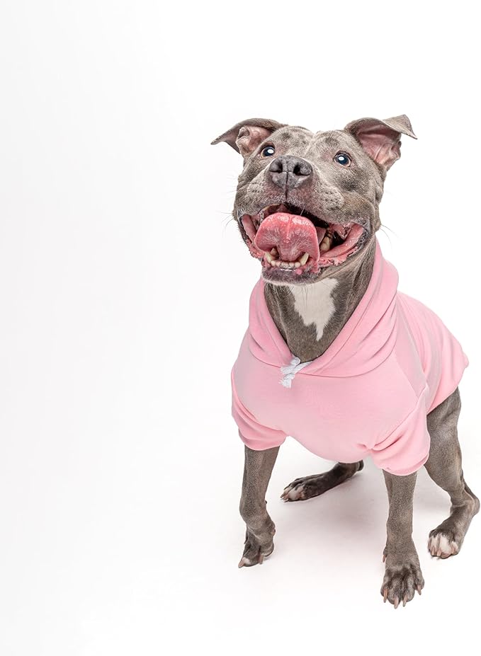 Stealing Hearts Blasting Farts Dog Hoodie | Fleece Lined |Leash Hole| Valentine's Day | Cute & Funny|Baby Pink, Small 983