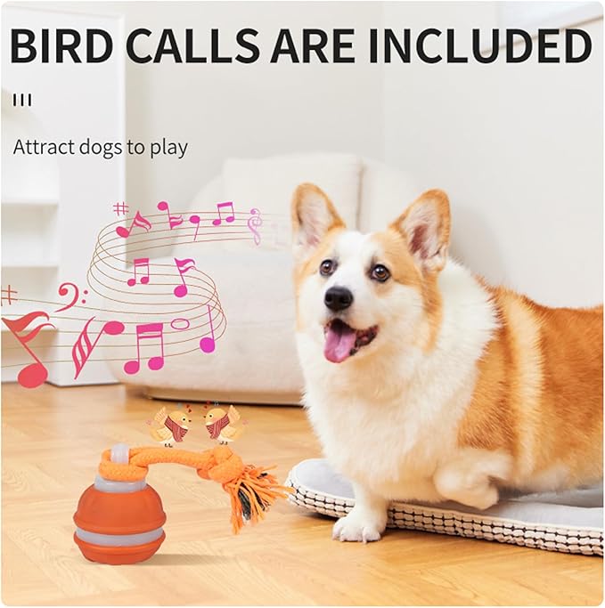 Interactive Dog Cat Toys Dog Ball,Automatic Rolling and Bouncing Moving Dog Toy,Squeaky Rolling Balls with Flashing Light,USB Rechargeable Chew Toys for Puppy Small Dogs, Pet Ball to Keep Them Busy