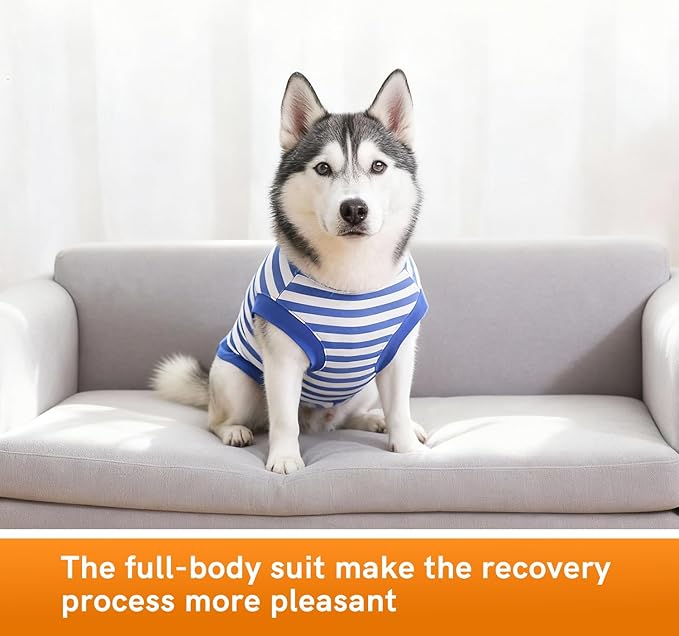 Dog Surgery Recovery Suit Dogs Neuter Spay Female Male Protective Clothes, Blue White S