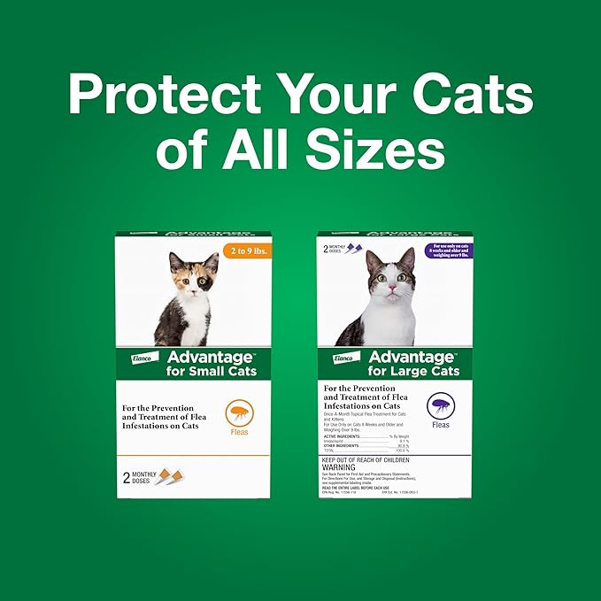 Advantage Topical Cat Flea Treatment and Prevention for Small Cats 2-9 lbs. | Apply Flea Drops Monthly | 2 Treatments, (Pack of 2)