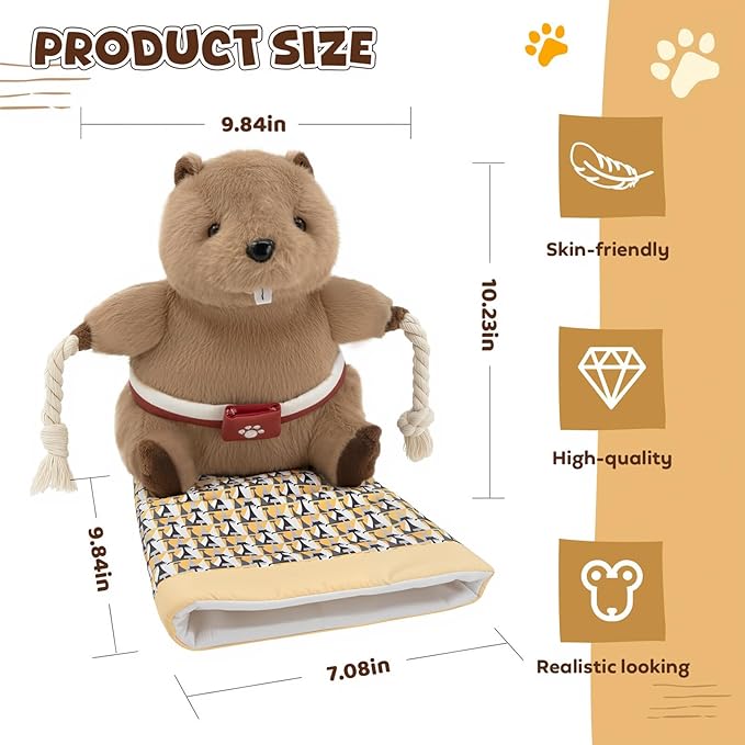 Cat Wrestling Glove, Cats Puppet Wrestler with Tough Padding for Safe Interactive Play, Cat Wrestling Toy Puppet with Cats Teaser and Bell for Boredom Busting Training and Exercise
