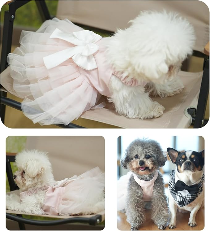 Dog Dress Wedding Outfits, Princess Lace Tutu Strappy Skirt for Female Puppy Small Medium Dogs Girl Cats Costume (Strappy Dress, Small)