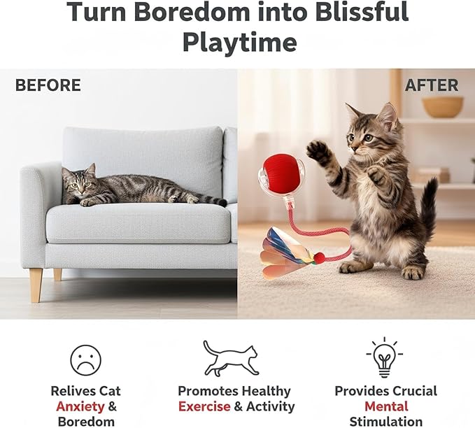JBD Smart Cat Toy Ball for Indoor Cats, Automatic Interactive Cat Toy - Auto Rolling Kitten Toys for Boredom Relief, Silent Self Moving Electronic Pet Toy Ball for Exercise, USB Rechargeable