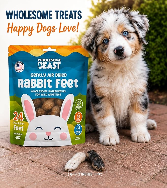 Rabbit Front Feet for Dogs – Natural Fur-On Rabbit Dog Treats, Gently Air Dried Single Ingredient Chews, High Protein Raw Feeding Snack for Small & Medium Dogs – 24 Count