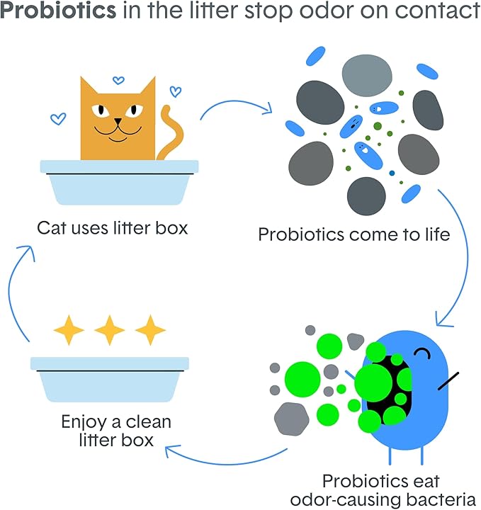 Boxie Probiotic Lightweight Cat Litter 40 Day Odor Control, Odor Eliminating Probiotics, 99.9% Dust Free, Multi-Cat, 11.5 lb