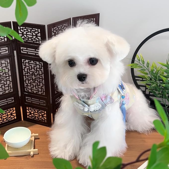 Chinese Cheongsam Dog Dress, Butterfly Printed Pet Qipao with Tassel & Knot, Traditional Chinese Style Outfit for Small Dogs & Cats, Festive Costume for Puppy Kitten (X-Large)