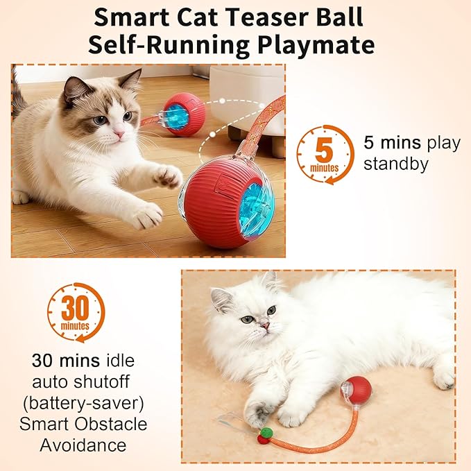 Interactive Cat Toy Ball - 3 LED Modes Motion Activated, Elastic Mesh Tail Type-C Rechargeable Self-Playing Toy for Bored Indoor Cats Kittens, Ideal Gift for Cat Lovers (Red)