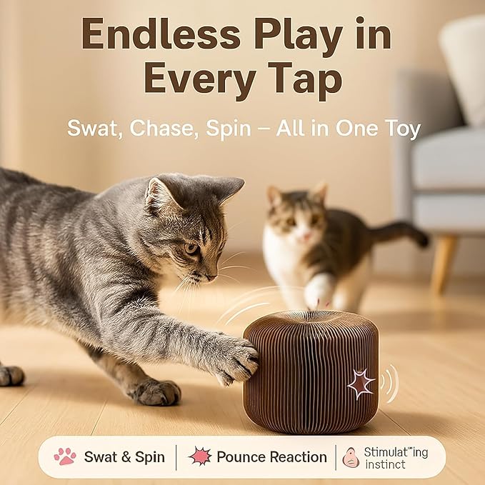 Interactive Cat Toy, Kitty Curls Cat Scratcher, Twisty Paws Cat Scratching Post, Kitty Kurls Magic Organ Cat Scratch Pad with Ball Toy for Indoor Cats, Kitty kurlz Modern Cat Scratching Board