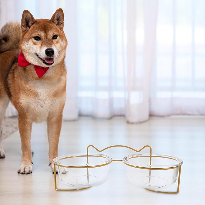 LALAFINA Raised Double Cat and Dog Glass Feeding Bowls Tilted High Stand Non-Slip Raised Pet Food Bowl for Cats and Small Dogs for Feeding and Watering