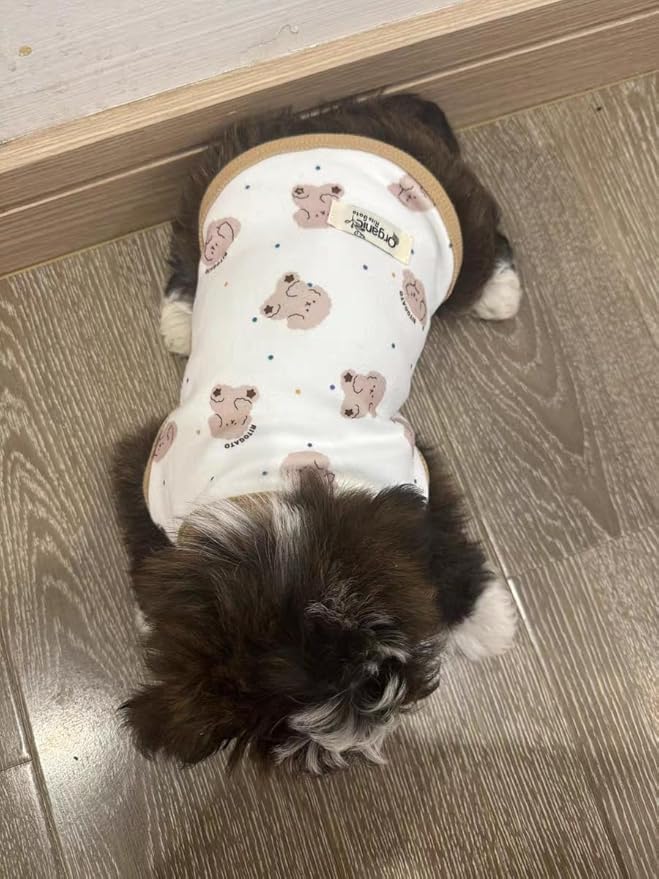 Cute Dog Shirt, Stretchy Dino Doggie T-Shirt Clothes for Small Dogs, Soft Pet Tee Outfit Cat Apparel for Daily Wear, Cozy Pullover Design Puppy Apperal (Doggie, Large Size for 8.5-12lb Pets)