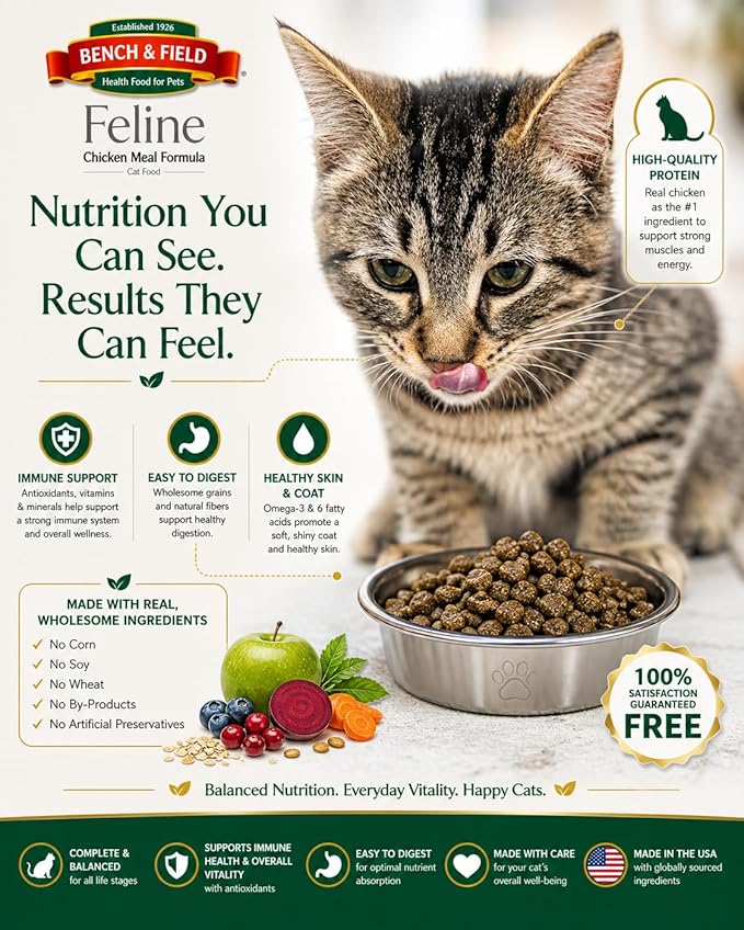 Bench & Field Holistic Premium Dry Cat Food, Chicken Meal & Brown Rice Recipe, Made Without Corn, Wheat, or Soy, All Life Stages, 3 lb Bag (Pack of 1)