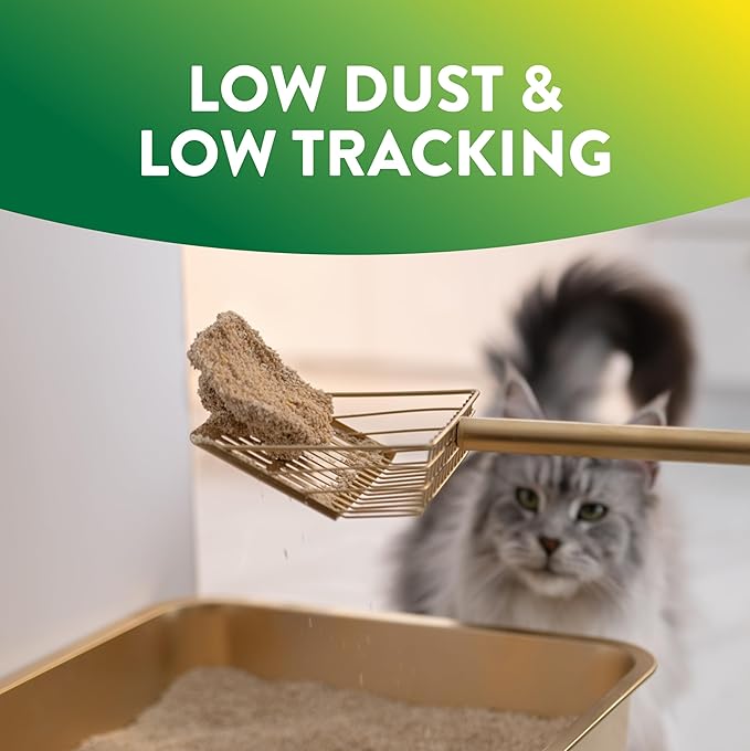 ARM & Hammer Plant Power Lightweight Plant-Based Clumping Cat Litter for Multi-Cat Homes, 14-Day Odor Control, Highly Absorbent Natural Grain Formula, Unscented 15 Lbs