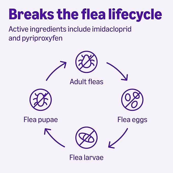Amazon Basics Preventative Topical Flea Treatment and Prevention for Large Cats (Over 9 Pounds), Kills Fleas Within 12 Hours, 6 Count