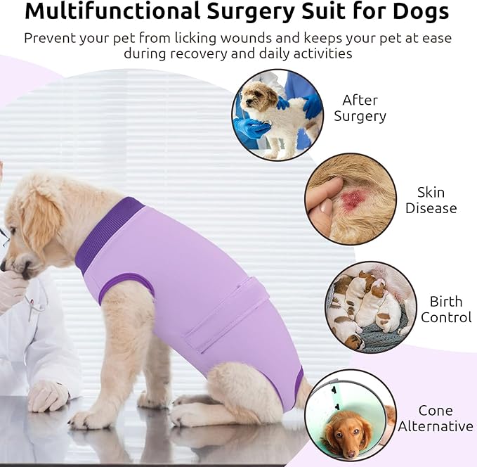 Queenmore Dog Surgical Recovery Suit Onesie, Recovery Suit for Dogs Cats After Surgery, Anti Licking Pet Female Post-Operative Spayed Neutered Shirt, Substitute E-Collar & Cone, Purple,3XL