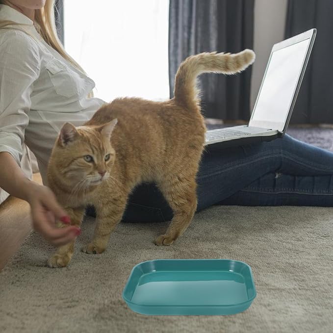 HOMSFOU 5pcs Shallow Cat Food Bowls Set Sturdy Non-breakable Pet Feeding Plates for Indoor Cats Mixed Color Suitable for Daily Feeding and Watering Random Color