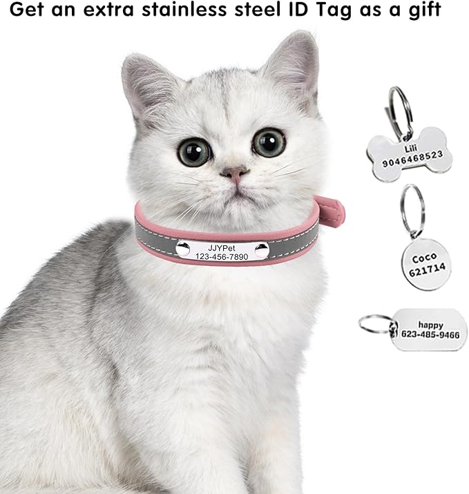 Personalized Reflective Cat Collars with Name Tag and Plated,Engraved Custom Cat Collar with Name and Phone,Kitten Collar with Safety Buckle Adjustable for Cats and Kitten(Blue)