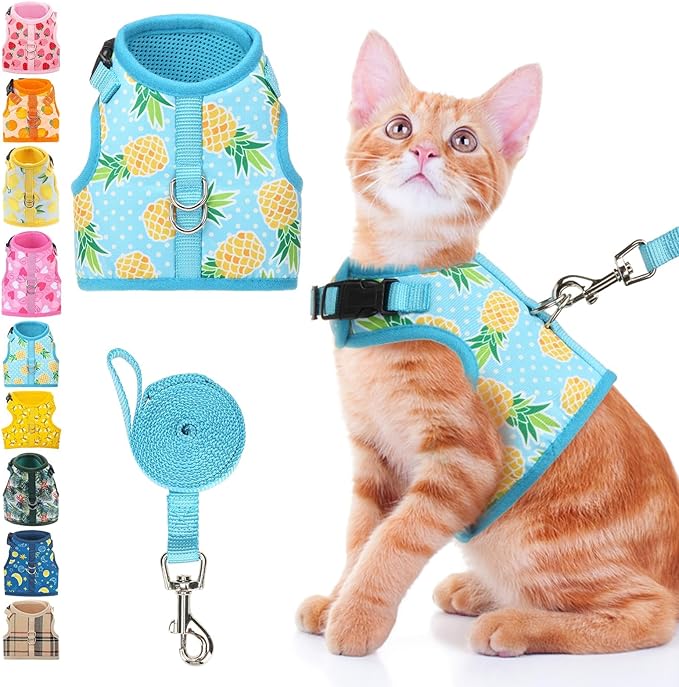 BINGPET Cat Harness and Leash Set Escape Proof, Fashionable Adjustable Mesh Harness for Walking, Soft Cute Breathable Easy Control Cat Vest for Kitten Puppy Small Medium Large Cats