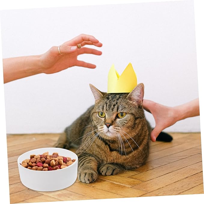 Practical Elevated Dog Bowl Ceramic Cat Feeding Watering Supplies Structure Non-Slip Wooden Shelf