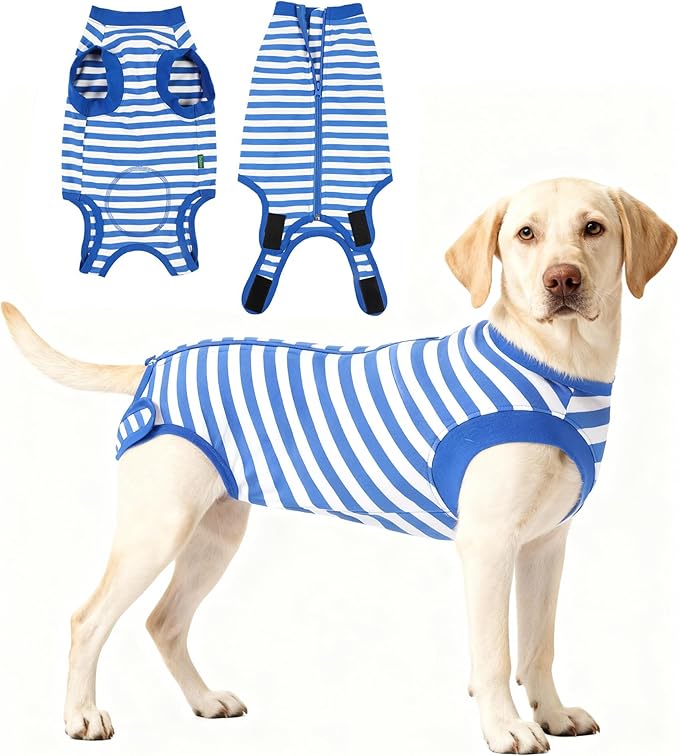 Dog Surgery Recovery Suit Dogs Neuter Spay Female Male Protective Clothes, Blue White XXL