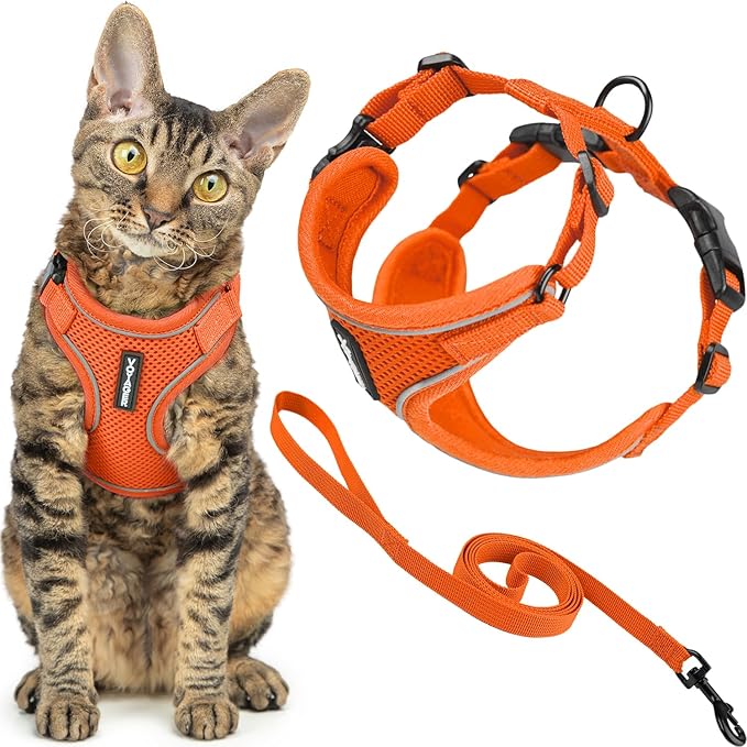 Voyager Escape-Proof Step-in Lock Cat Harness & 5ft Neoprene-Handle Leash Set All-Weather Mesh with Reflective Stitching for Small to Large Cats by Best Pet Supplies, Orange (327), XS