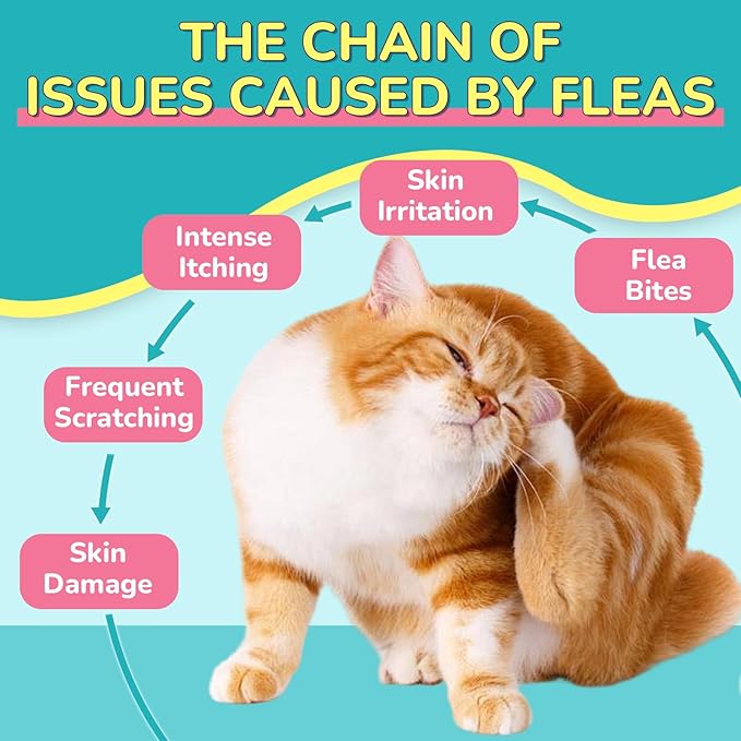 Woyamay Flea Treatment for Cats & Itch Relief Chews, 500 Crunchy Cat Flea Treatment Chews, Cat Itchy Skin Relief, Cat Itching Relief & Skin Care, Flea Prevention for Cats, Chicken Flavor