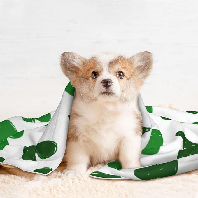 Cat Dog Blanket Green Hearts Ultra Soft Warming Mat for Indoor Pet Beds Furniture 27.6 X 19.7inch