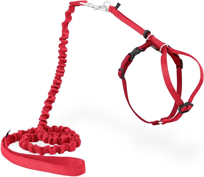 PetSafe Come with Me Kitty Harness and Bungee Leash Adjustable, Lightweight Harness for Cats Small, Red