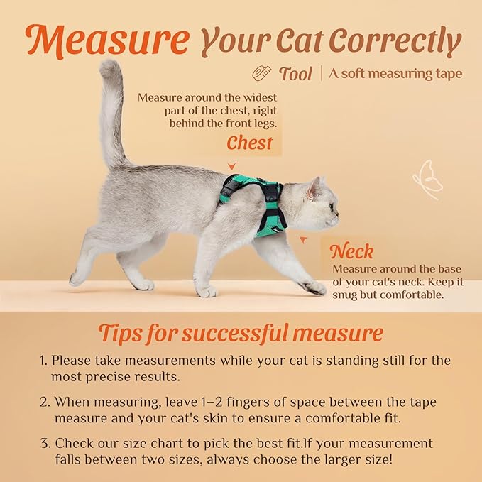 Dooradar Cat Harness and Leash Set, Escape Proof Soft with 3 Adjustable Buckles, Comfortable Vest Easy to Wear Kitten Harness with Reflective Strip, Safe for Outdoor Walking, Cyan Green, XS