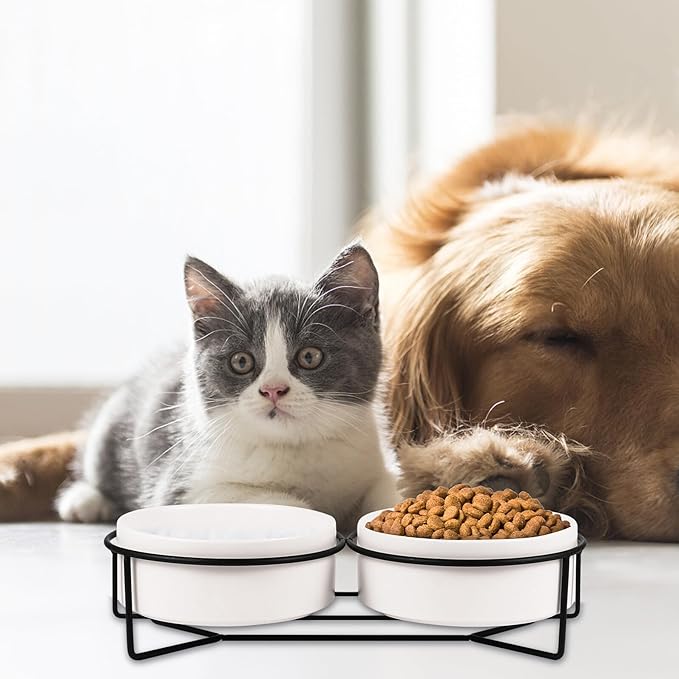 POPETPOP Ceramic Double Pet Bowl Set with Black Iron Elevated Stand, 13cm Raised Cat Feeder and Dog Food Bowl for Stable Feeding and Watering