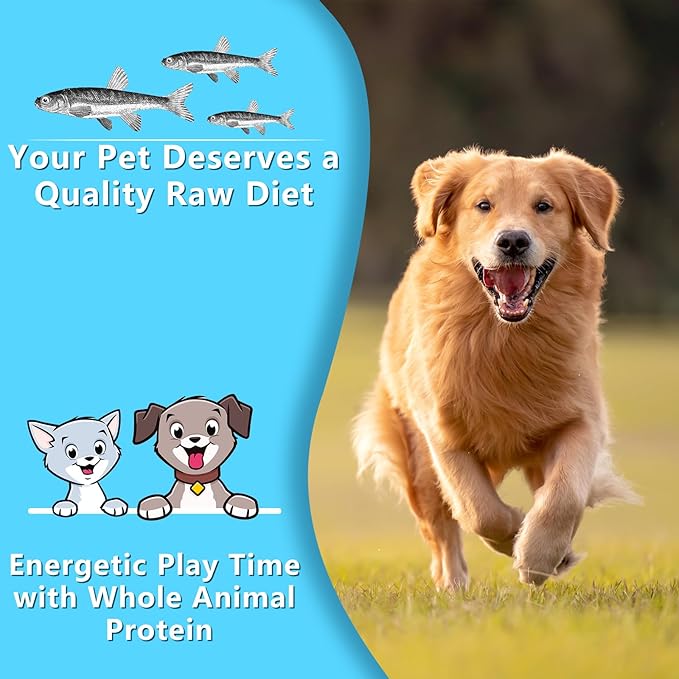 2.5 oz Natural Air-Dried Minnows for Dog and Cat Treats, 100% Natural, High-Protein Cat & Dog Treats, Single-Ingredient Fish Snacks for Training