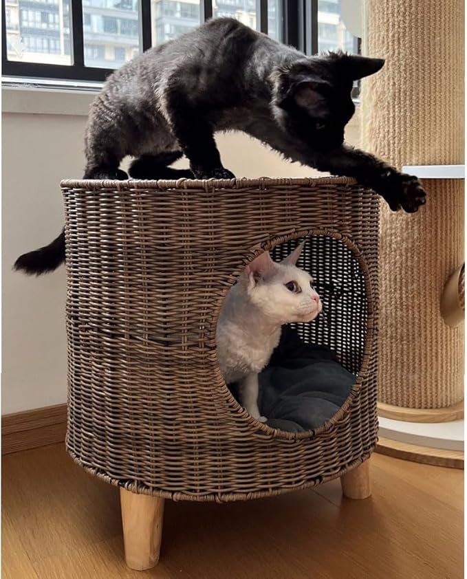 Antique B Elevated Rattan Pet Bed - Breathable Double Layer Cat Villa, Dog Bed House, Outdoor Cat Furniture