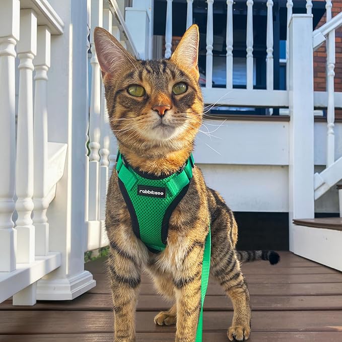 rabbitgoo Cat Harness and Leash for Walking, Escape Proof Soft Adjustable Vest Harnesses for Cats, Easy Control Breathable Reflective Strips Jacket, Grass Green, XS