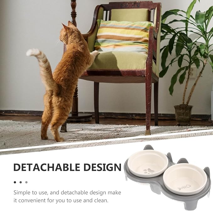 Ceramic Raised Cat Bowl Double Feeding and Watering Dish with Anti-Slip Gray Thickened Base Elevated Slant Design for Indoor Cats