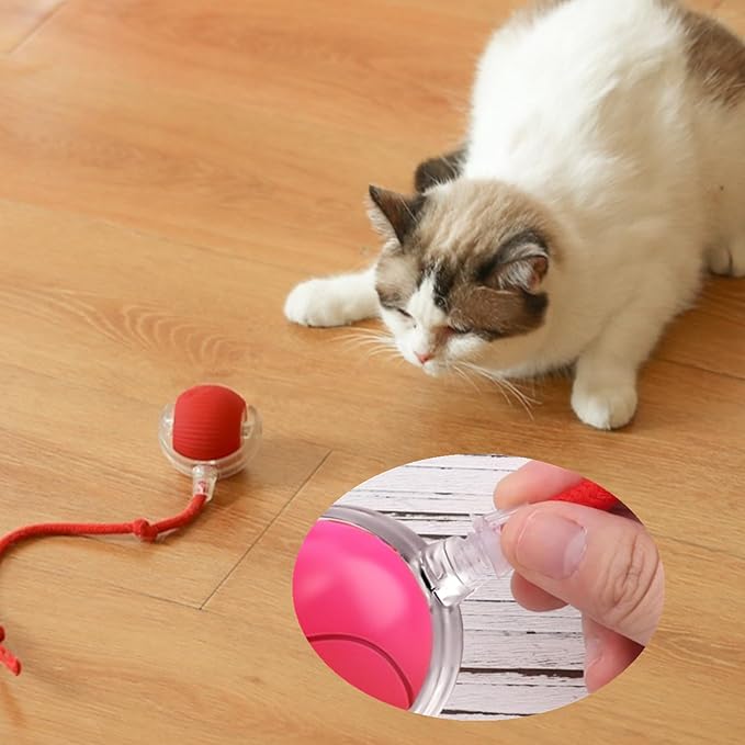 6 Pcs Red Cotton Thread Interactive Cat Toy Ball Replacement Ropes, Tail Accessories for Kitten Rolling Balls - Playtime, Exercise & Daily Fun