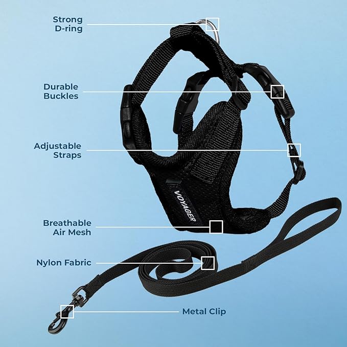 Voyager Escape-Proof Step-in Lock Cat Harness & 5ft Neoprene-Handle Leash Set All-Weather Mesh with Reflective Stitching for Small to Large Cats by Best Pet Supplies, Black, XXS