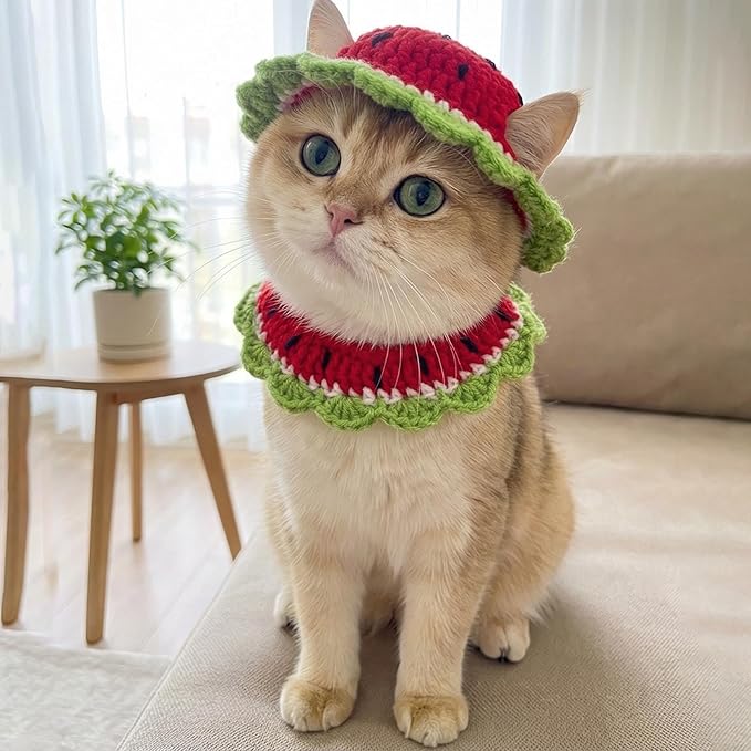 Handmade Crochet Watermelon Kitten Cat Hat Bowtie Collar | Cute Knitted Breakaway Cat Tie Collars Ideal for Birthdays, Pet Parties, Seasonal Celebrations (Red and Green)
